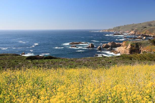 istock California Big Sur 1173600839