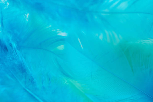 istock Green turquoise and blue color trends feather texture background,Light orange 1173602530