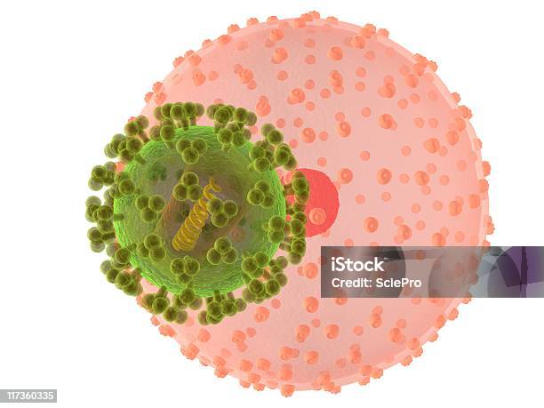 Hi Virus Infecting Cell Stock Photo - Download Image Now - AIDS, Biological Cell, Biology