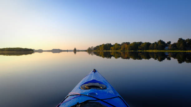 istock Tsala Apopka Lake 5 1173604051