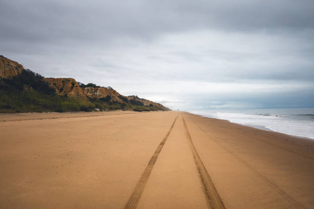 해변에서 자동차 트랙 - dirt road tranquil scene blue travel destinations 뉴스 사진 이미지