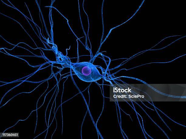 Neurone Stock Photo - Download Image Now - Anatomy, Biological Cell, Biology