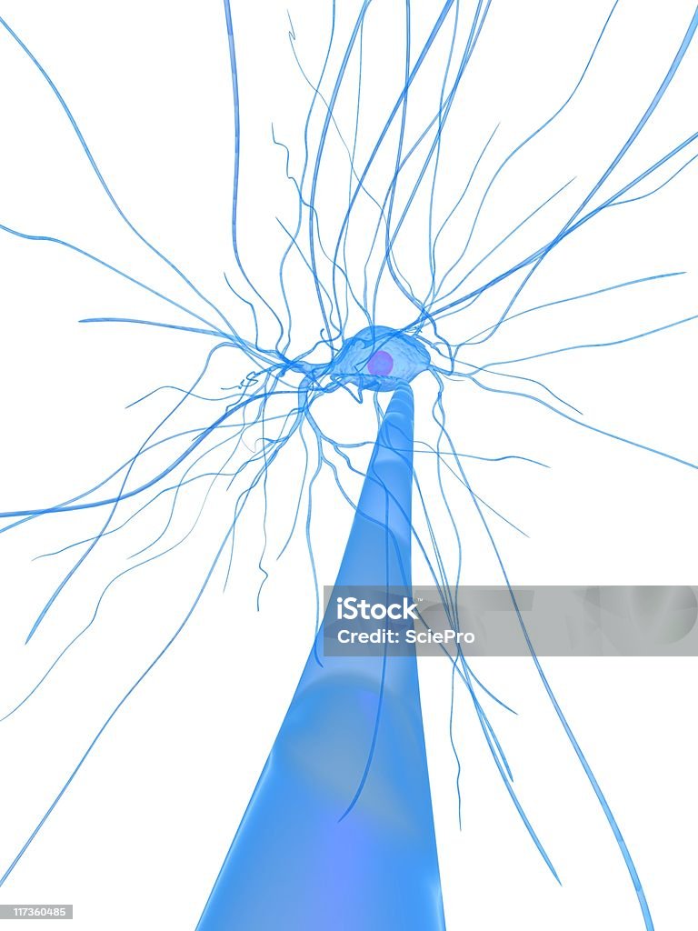 Cellula nervosa - Foto stock royalty-free di Anatomia umana