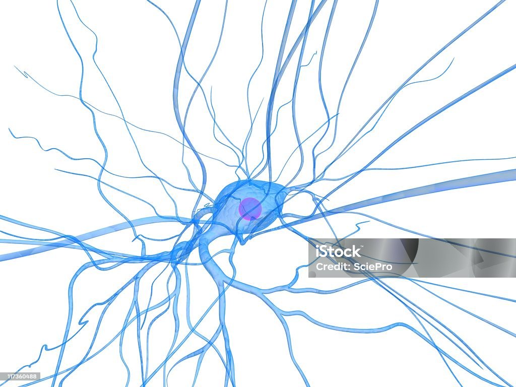 신경 세포 - 로열티 프리 가지돌기 스톡 사진