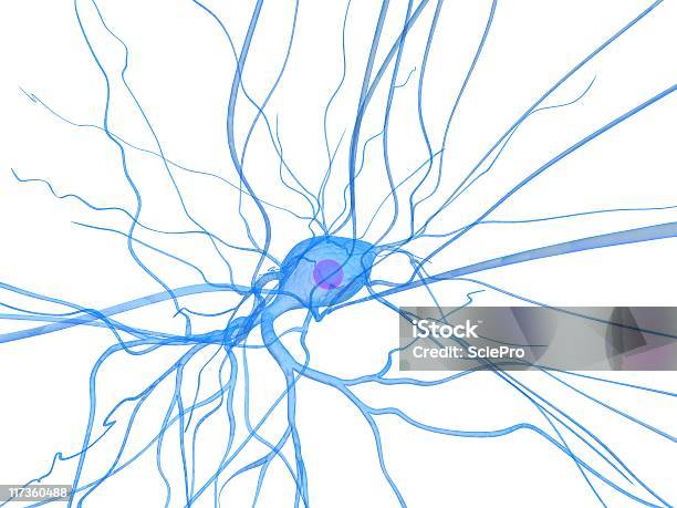 신경 세포 가지돌기에 대한 스톡 사진 및 기타 이미지 - 가지돌기, 마이크로 생물체, 사진-이미지