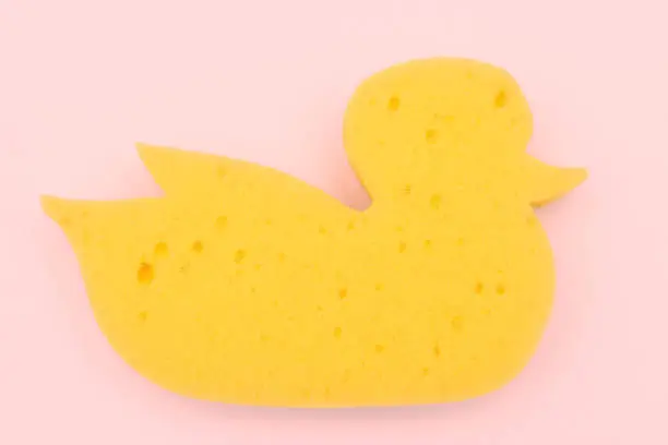 Yellow duck sponge on a pink background. view from above. baby sponge.
