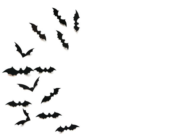istock Flying black bats over white background, Halloween decoration concept. 1173605980