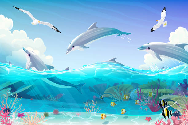 ilustraciones, imágenes clip art, dibujos animados e iconos de stock de vector dibujos animados bajo el agua clipart mar - dolphin animal sea underwater