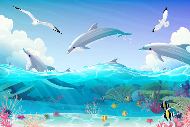 ilustrações, clipart, desenhos animados e ícones de clipart subaquático do mar dos desenhos animados - dolphin jumping sea animal