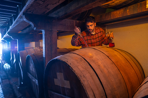 Winemaker checking wine test tube in old oak barrels winery cellar