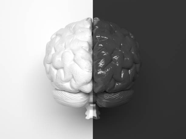 Black and white human brain divided in half into two parts in the middle.  One half is white, the other half is black. Creative conceptual illustration. 3D rendering