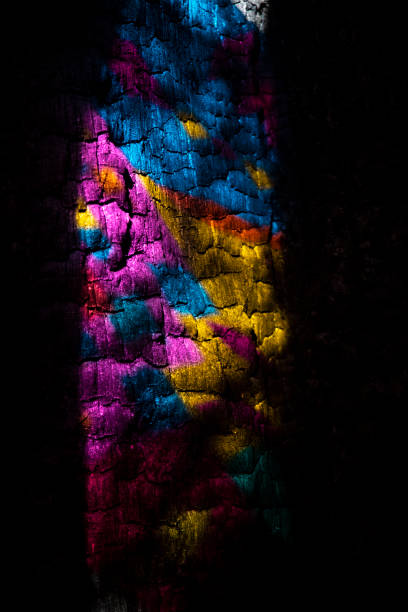 istock Wonderland at Montgomery Woods 1173613110