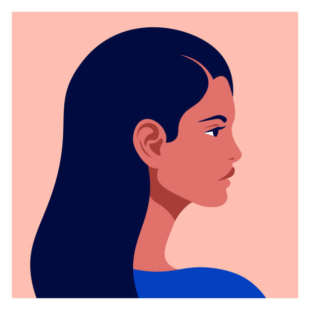 ilustrações de stock, clip art, desenhos animados e ícones de latin american head in profile. hispanic woman. races and nationalities of the world. vector flat illustration - native american illustrations