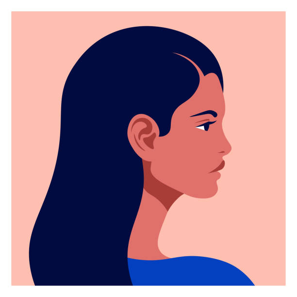 Latin American head in profile. Hispanic woman. Races and nationalities of the world. Vector flat illustration Latin American head in profile. Hispanic woman. Races and nationalities of the world. Vector flat illustration beautiful mexican girls stock illustrations