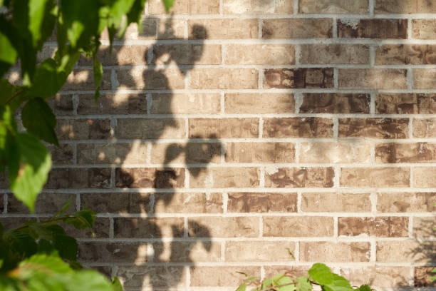 istock Attractive beige and brown brick wall texture sprinkled with tree shadows from late day sunlight 1173613853