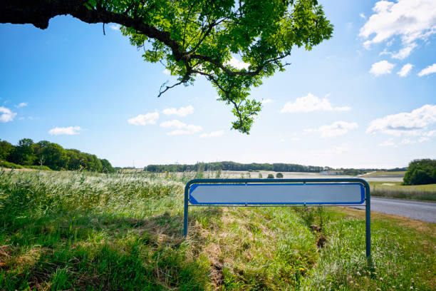 istock Road sign with an arrow in idyllic nature 1173615094