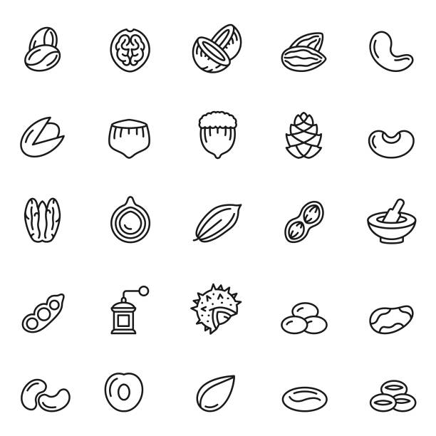 ilustraciones, imágenes clip art, dibujos animados e iconos de stock de conjunto de iconos de tuercas - semillas