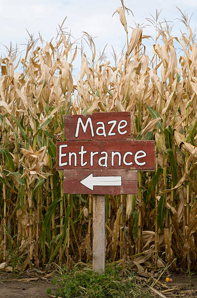 corn maze eingang - corn tassel stock-fotos und bilder