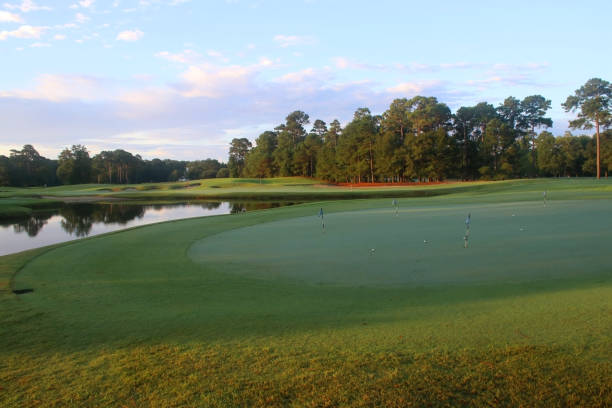 schöne sommermorgenlandschaft mit südländischem golfplatz. - golf golf course sunrise morning stock-fotos und bilder