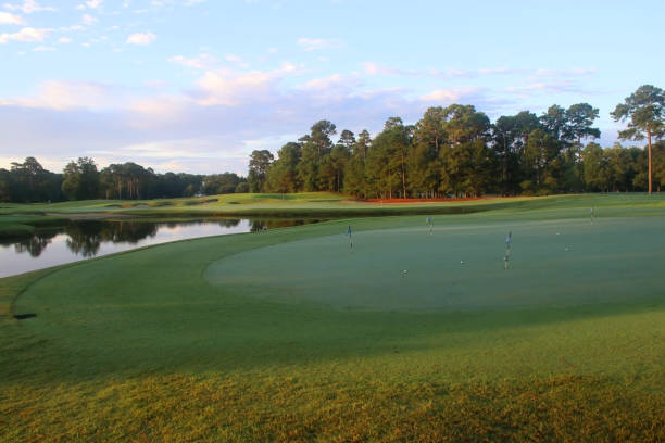 istock Beautiful summer morning landscape with southern golf course. 1173615914