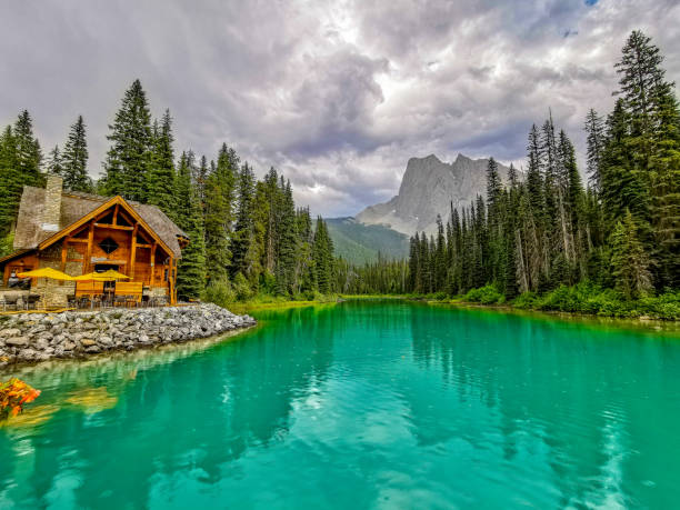Emerald Lake and Mount Burgess, Yoho National Park, Canada Emerald Lake is located in Yoho National Park, British Columbia, Canada, and it is the largest of 61 lakes and ponds located in this park. Mount Burgess looms over this lake. Stormy skies and rain make for a rather dramatic landscape. yoho national park photos stock pictures, royalty-free photos & images