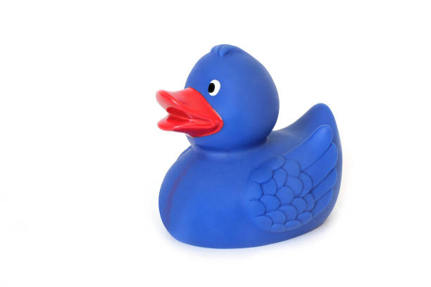 istock Baby rubber duck for swimming 1173618074