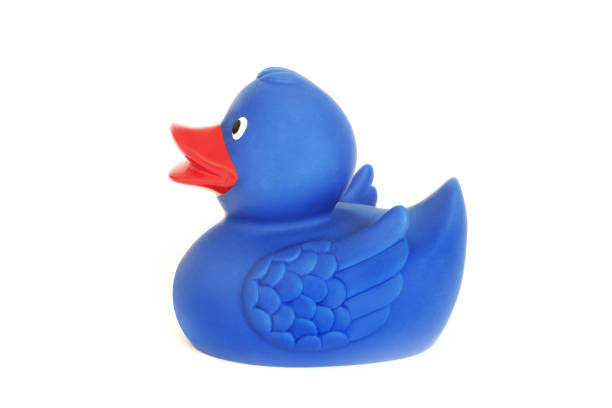 istock Baby rubber duck for swimming 1173618078