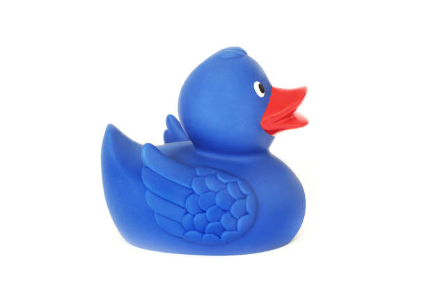 Baby rubber duck for swimming stock photo