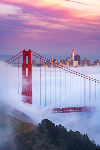 The Golden Gate Bridge rising above a sea of fog with San Francisco skyline in the distance