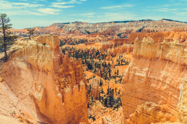 istock Bryce Canyon National Park 1173619707