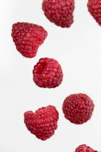 istock raspberry background. Fresh ripe raspberries flying in the air 1173619917
