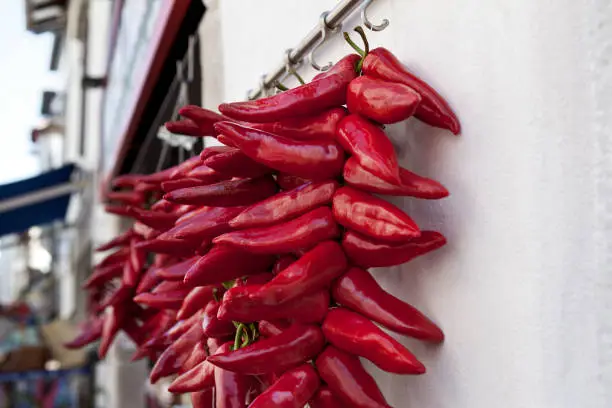 Red peppers hanging at the front of a grocery store in the Basque Country in France