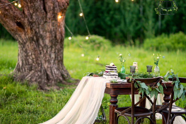 istock Wedding table for two in the field at the pine tree. Chairs and honeymooners table decorated, served with cutlery and crockery and covered with a tablecloth 1173624256