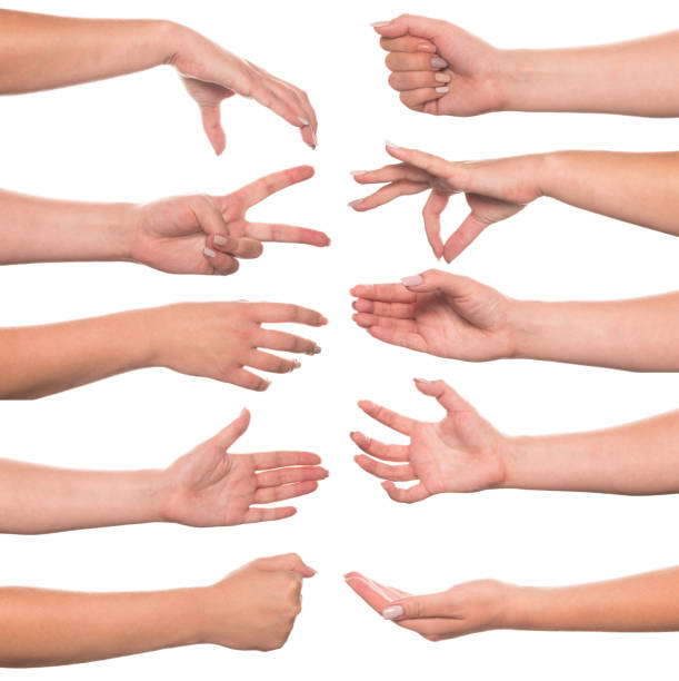 istock Set of woman's hand measuring invisible items 1173626253