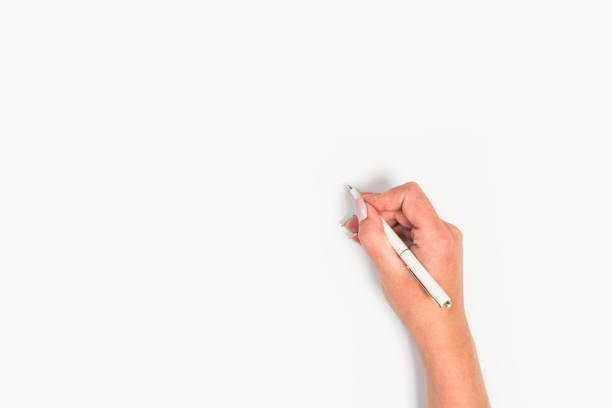 istock Female hands hold a pen. Isolated on white background. copy space, template. 1173626357