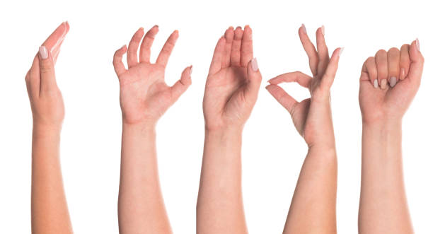 istock Set of woman's hand measuring invisible items 1173627076