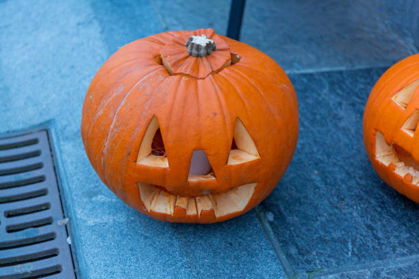 istock Carved Pumpkins Halloween 1173627120