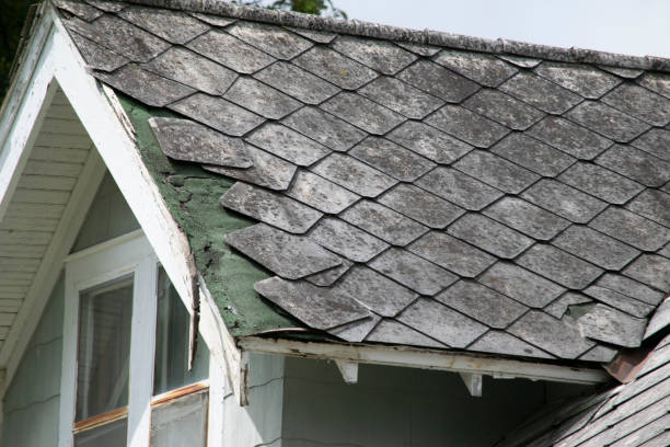 istock Damaged and old roofing shingles and gutter system on a house 1173627801