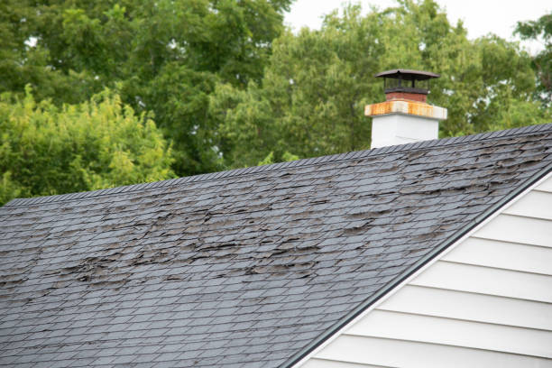 집에 손상 및 오래된 지붕 대상 포진 및 배수로 시스템 - roof tile 뉴스 사진 이미지