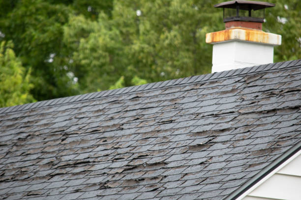 istock Damaged and old roofing shingles and gutter system on a house 1173628356