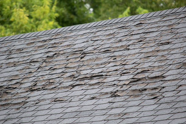 istock Damaged and old roofing shingles and gutter system on a house 1173628368