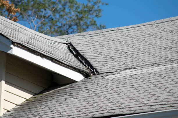 istock Damaged and old roofing shingles and gutter system on a house 1173628382