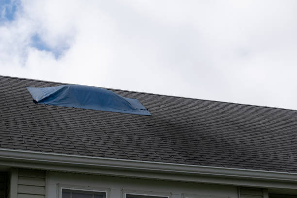 istock Damaged and old roofing shingles and gutter system on a house 1173628383