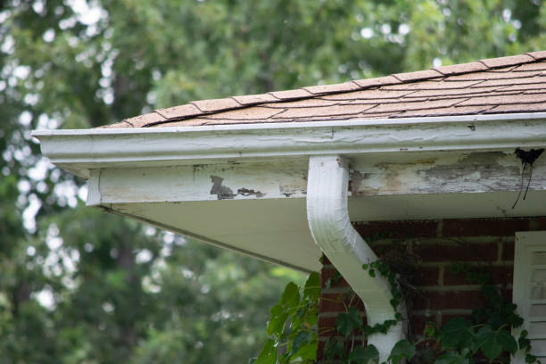 istock Damaged and old roofing shingles and gutter system on a house 1173628384