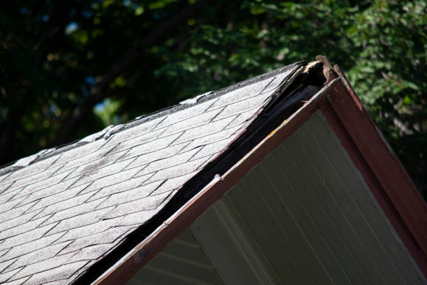 istock Damaged and old roofing shingles and gutter system on a house 1173628456