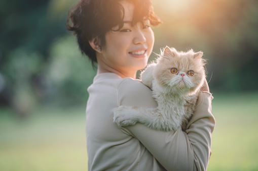 an asian chinese female teenager playing and bonding time with her furkid pet cat at public park in the morning