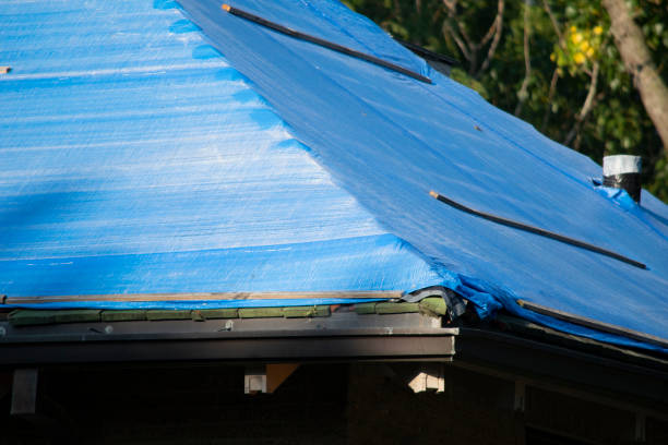 istock Damaged and old roofing shingles and gutter system on a house 1173632957