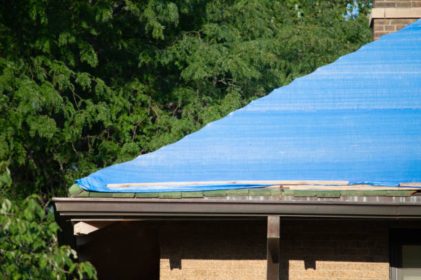 istock Damaged and old roofing shingles and gutter system on a house 1173632963