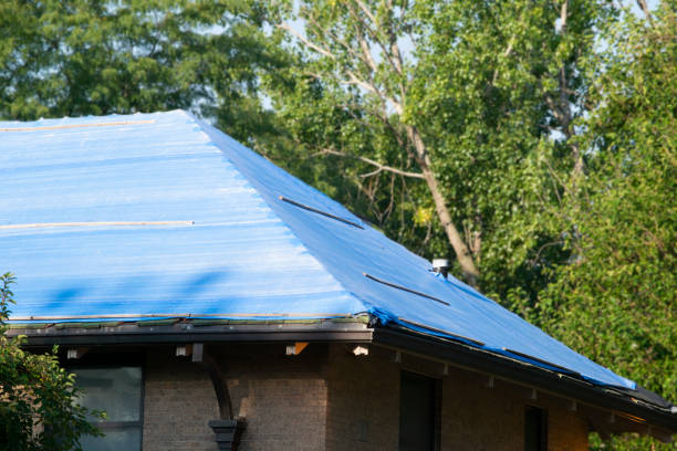 istock Damaged and old roofing shingles and gutter system on a house 1173636408