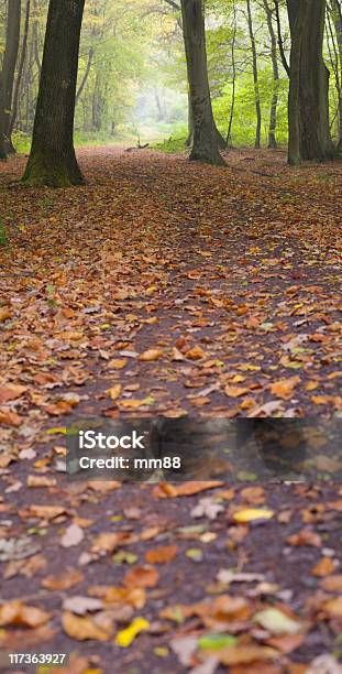 Schotterstrecke Stockfoto und mehr Bilder von Ast - Pflanzenbestandteil - Ast - Pflanzenbestandteil, Ausgedörrt, Baum